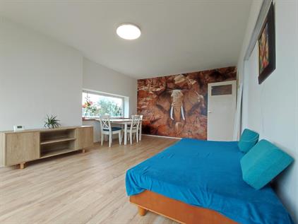 Appartement te huur 1400 euro Willem Royaardsstraat, Rijswijk
