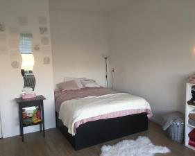 Room for rent 475 euro Touwslagersdreef, Maastricht