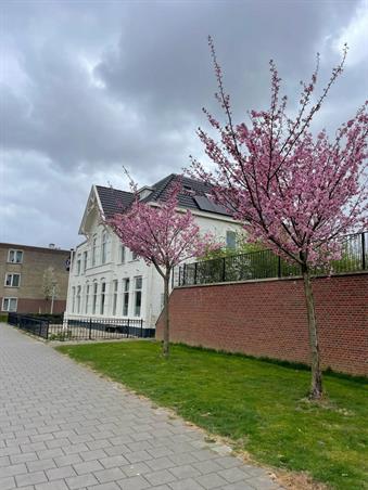 Zimmer bei Hoge Bothofstraat In Enschede