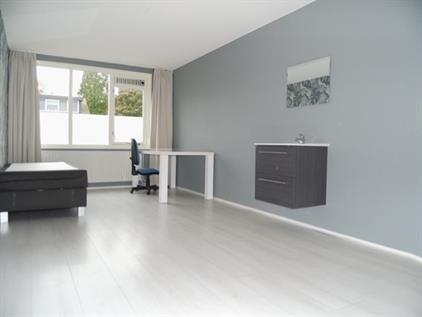Room for rent 1000 euro Lucille Ballstraat, Almere