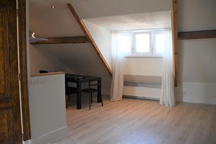 Apartment for rent 895 euro Dolmansstraat, Maastricht