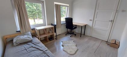 Kamer te huur 550 euro Van Slingelandtstraat, Arnhem