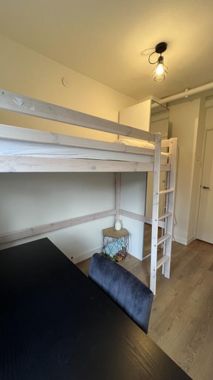 Room for rent 850 euro Lessinglaan, Utrecht