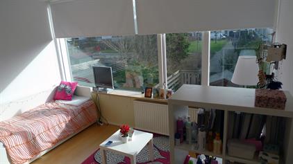 Room for rent 560 euro Saffierstraat, Groningen
