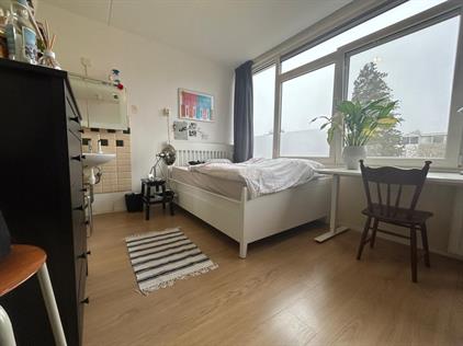 Room for rent 475 euro Goudlaan, Groningen