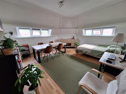 Apartment for rent 380 euro Haagweg, Breda