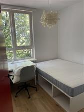 Room for rent 350 euro Dommelstraat, Enschede