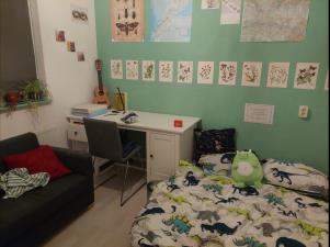 Kamer te huur 390 euro Irenestraat, Wageningen