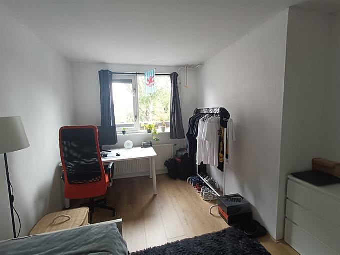 Zimmer bei Henegouwen In Utrecht
