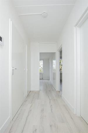 Zimmer bei De Boelelaan In Amsterdam