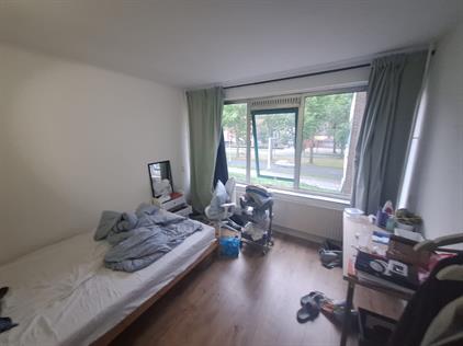 Kamer te huur 380 euro Jacoba van Beierenlaan, Delft