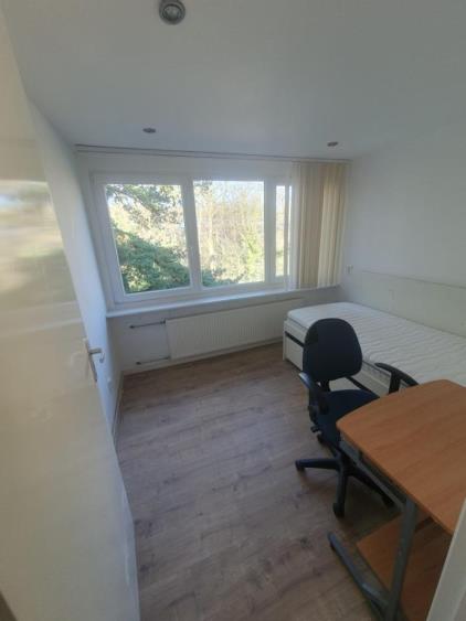 Room for rent 695 euro Comeniuslaan, Zeist