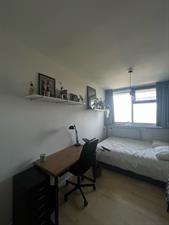 Room for rent 448 euro Louis Couperuslaan, Delft