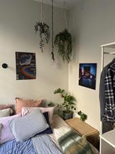 Room for rent 115 euro Egelantiersstraat, Amsterdam
