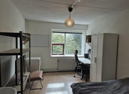 Kamer te huur 354 euro Laaressingel, Enschede