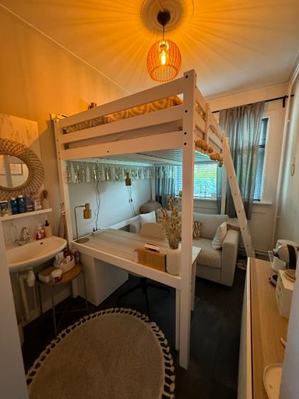 Kamer te huur 270 euro J.C. Kapteynlaan, Groningen