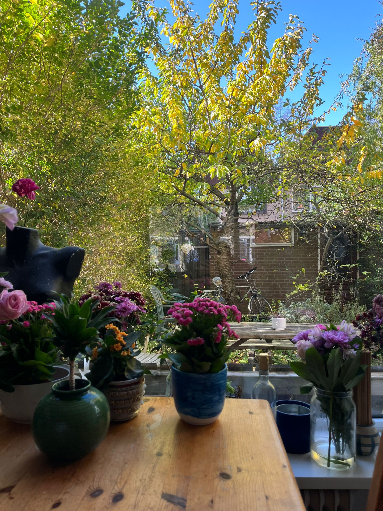 Kamer aan Multatuliweg, Delft 6
