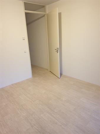 Zimmer bei Wijnesteinlaan In Utrecht
