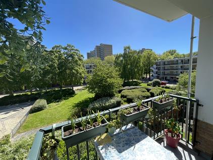 Kamer te huur 850 euro Dikninge, Amsterdam