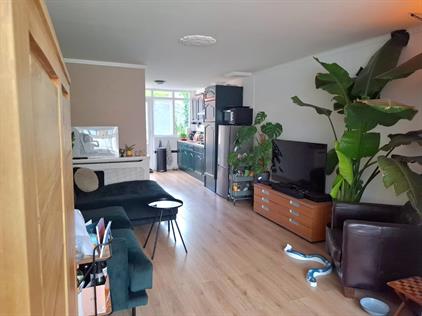 Appartement te huur 700 euro Julianastraat, Leiden