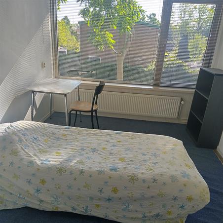 Zimmer bei Middelrode In Rotterdam