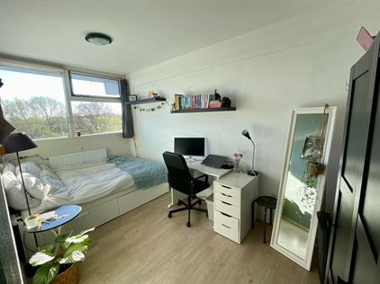 Room for rent 390 euro Louis Couperuslaan, Delft
