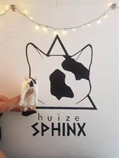 Room for rent 458 euro Witbreuksweg, Enschede