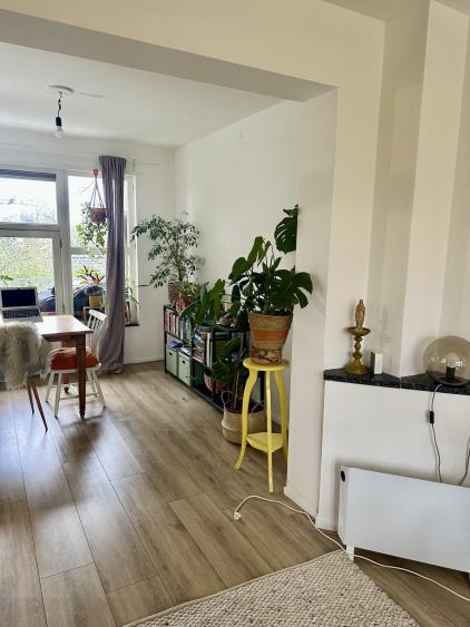 Apartment for rent 1400 euro Lodewijk Napoleonplantsoen, Utrecht