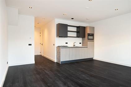 Apartment for rent 2600 euro Gerard Doustraat, Amsterdam