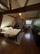 Kamer te huur 830 euro Hooikade, Den Haag