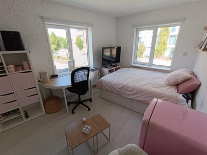 Kamer te huur 450 euro Kreugelstraat, Eindhoven