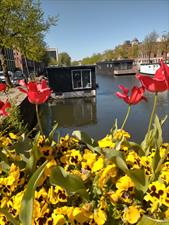 Apartment for rent 1200 euro Eendrachtskade, Groningen