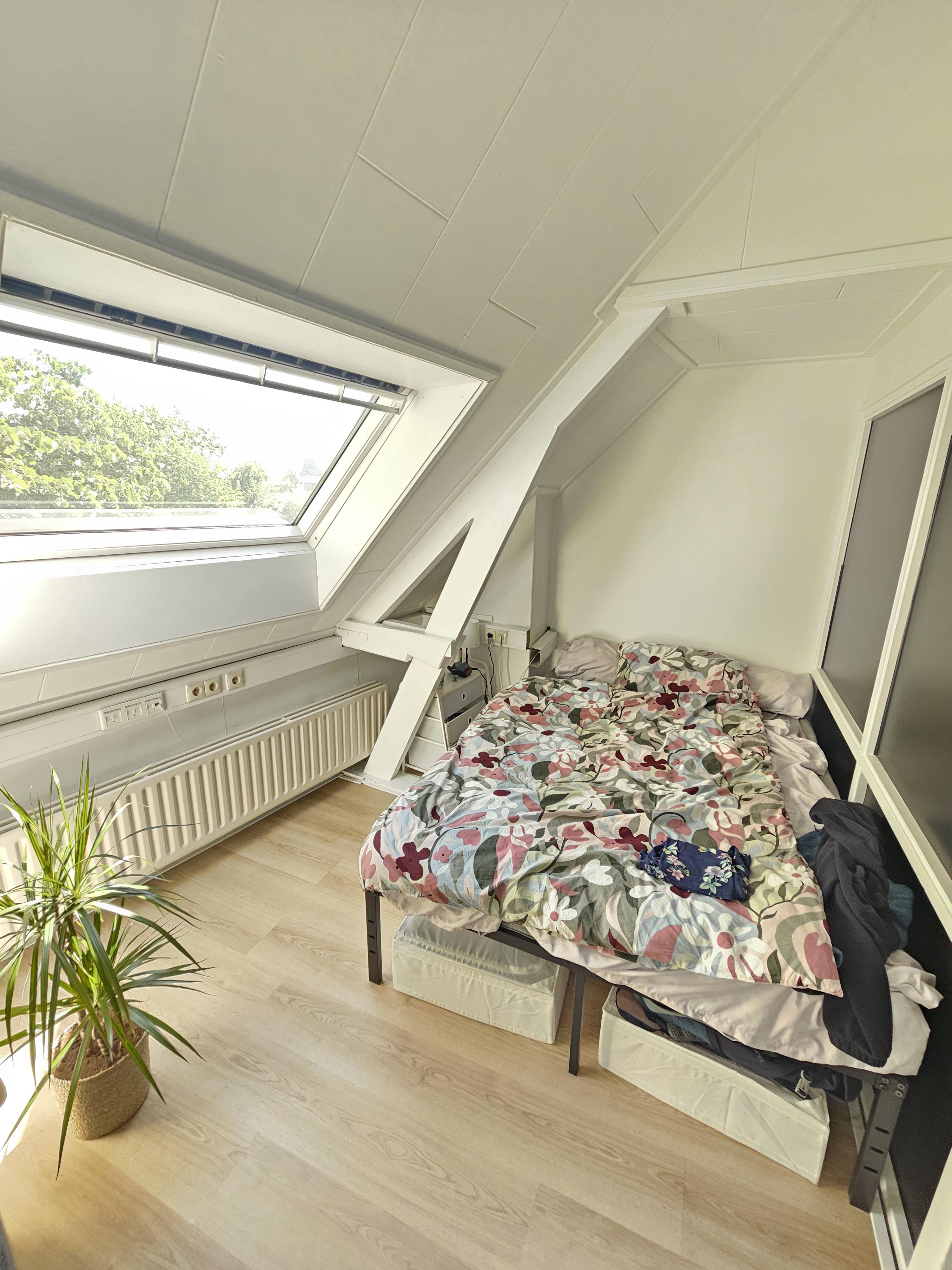 appartementen te huur op Nieuwe Boschstraat
