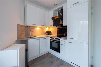 Anti-squat for rent 2500 euro De Savornin Lohmanstraat, Amsterdam