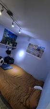 Room for rent 665 euro Tolhuis, Nijmegen