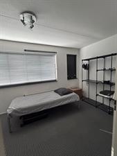 Room for rent 1050 euro De Fruittuinen, Hoofddorp