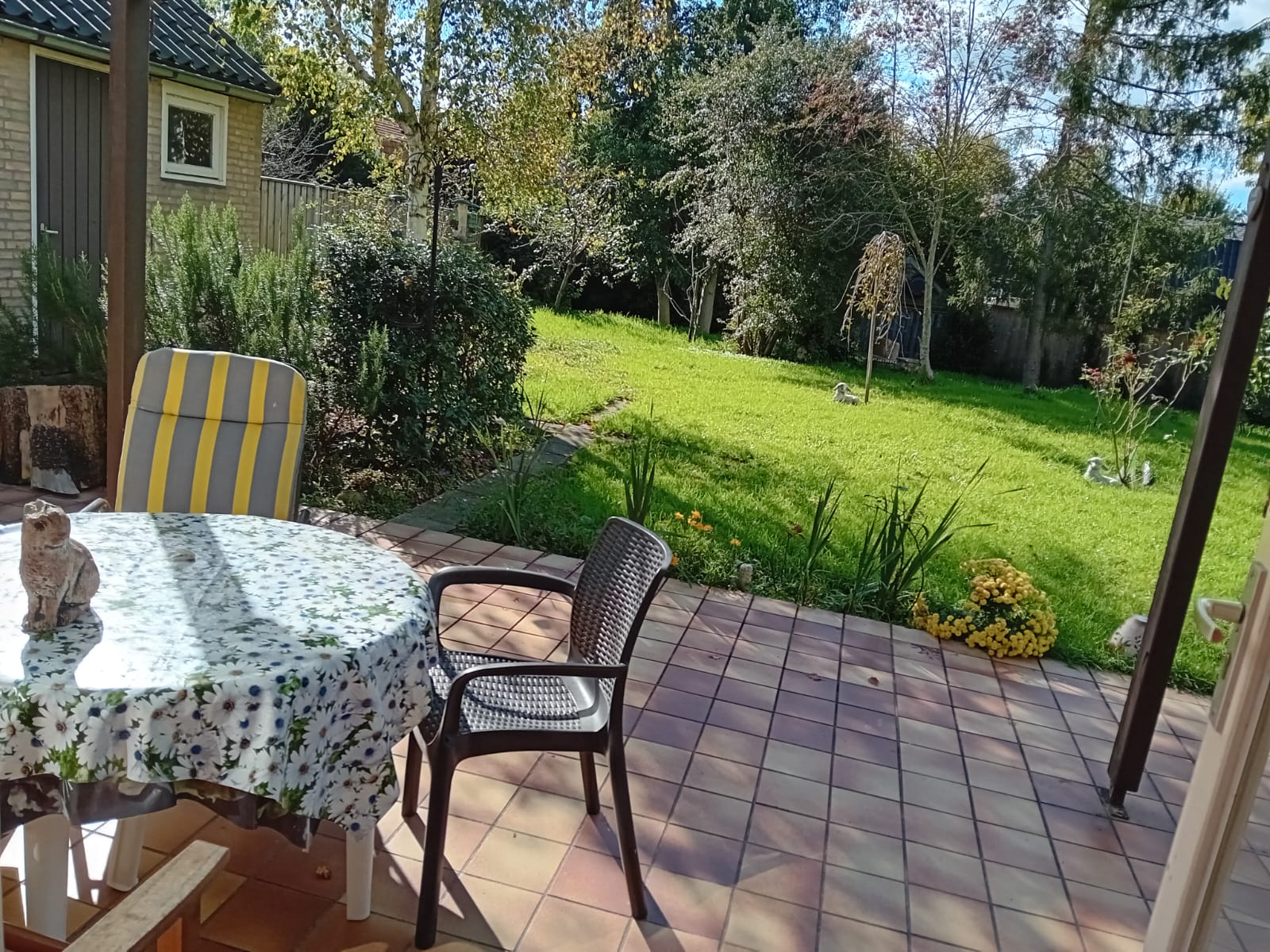 Kamer te huur in Ruurlo – Molenlaan – foto 4