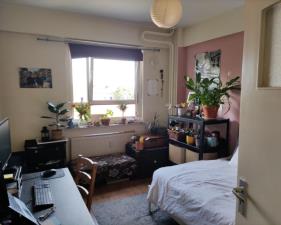 Room for rent 375 euro Heidebloemstraat, Nijmegen