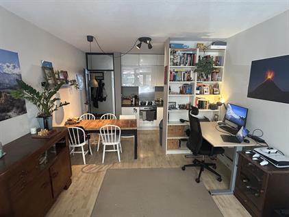 Apartment for rent 1000 euro 2e Van Blankenburgstraat, Den Haag
