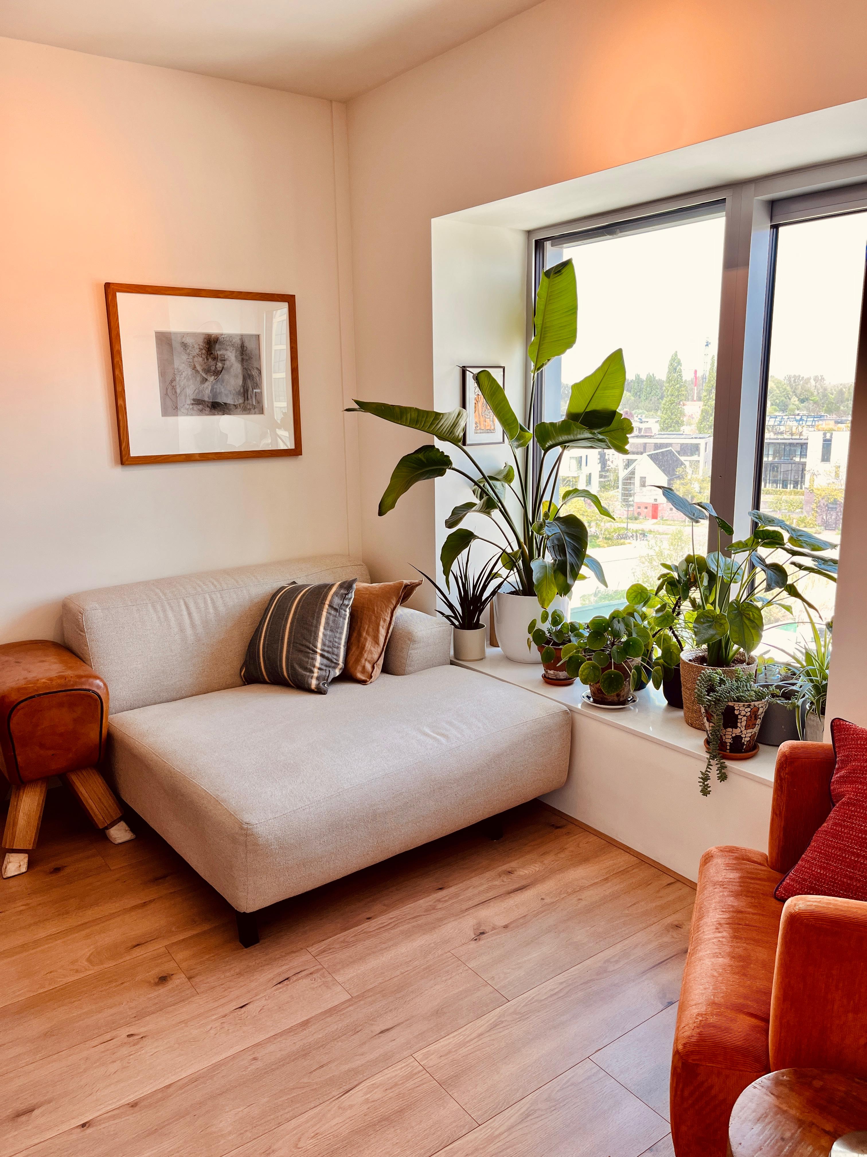 1-soba stantanje z 35 m²