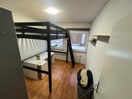 Kamer te huur 550 euro Termileslaan, Maastricht