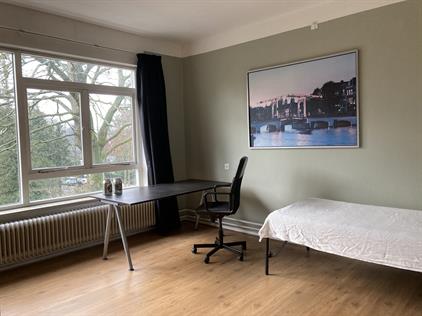 Room for rent 500 euro Verlengde Slotlaan, Zeist