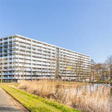Anti-kraak te huur 700 euro Geldershoofd, Amsterdam
