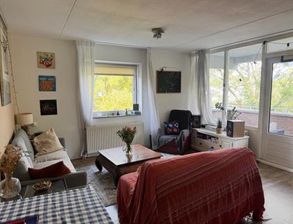 Kamer te huur 1000 euro Rupelmonde, Amsterdam