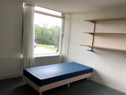 Room for rent 559 euro Commandeursweg, Bennekom