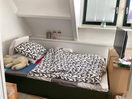 Room for rent 800 euro Alleeweg, Enschede