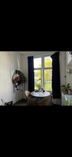 Room for rent 595 euro Oude Kerkstraat, Utrecht