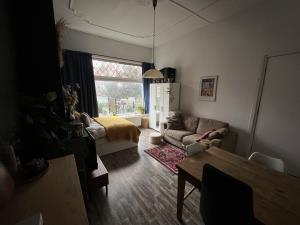 Room for rent 595 euro Jozef Israelsstraat, Groningen