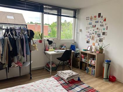 Kamer te huur 550 euro Alexanderstraat, Den Haag