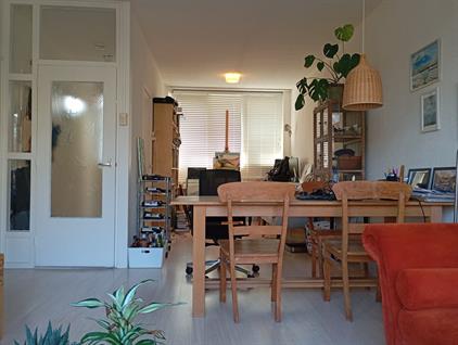 Apartment for rent 800 euro Woelwijkstraat, Rotterdam